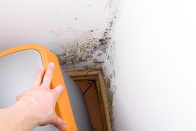 mold behind storage container in basement